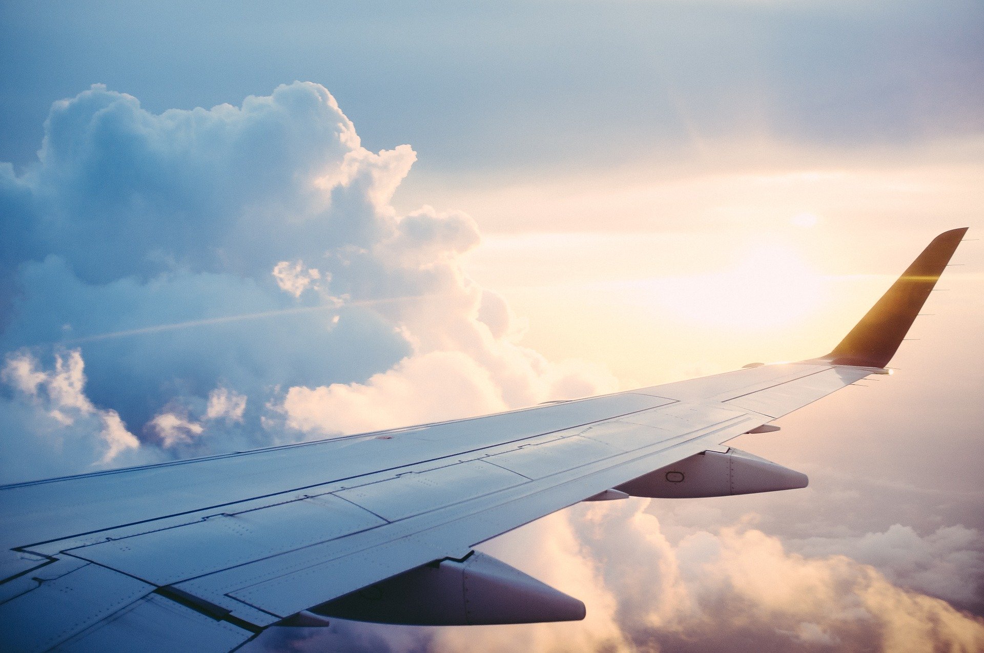 aereo ala(1).jpg